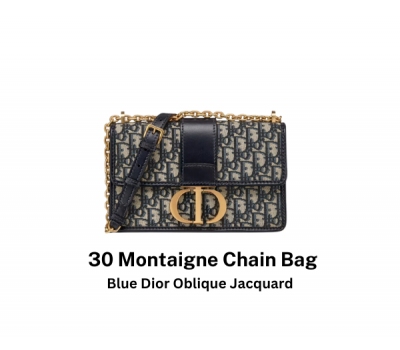 Dior 30 Montaigne Chain Bag - Black / Gray (MY ONLY)